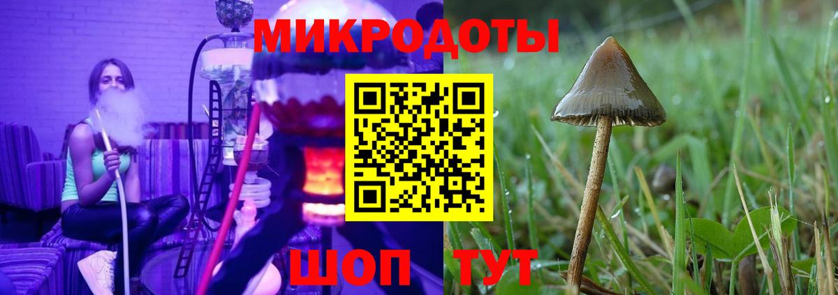 Галлюциногенные грибы MAGIC MUSHROOMS  Вход с VPN  Великие Луки 